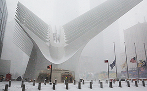 Snowstorm : 2021 : New York : Personal Photo Projects : Photos : Richard Moore : Photographer